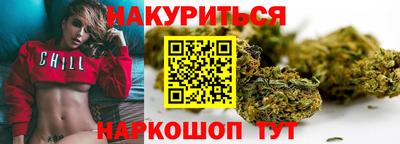 шишки Владимир