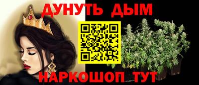 шишки Владимир