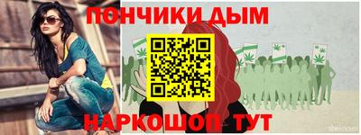 шишки Владимир
